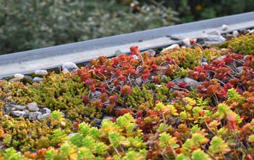 the cost of Almagill green roof installation