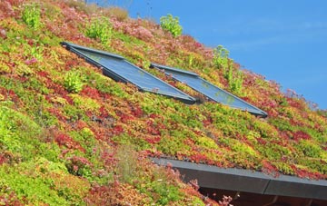 Almagill living roof systems