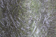 Almagill fibreglass roof work